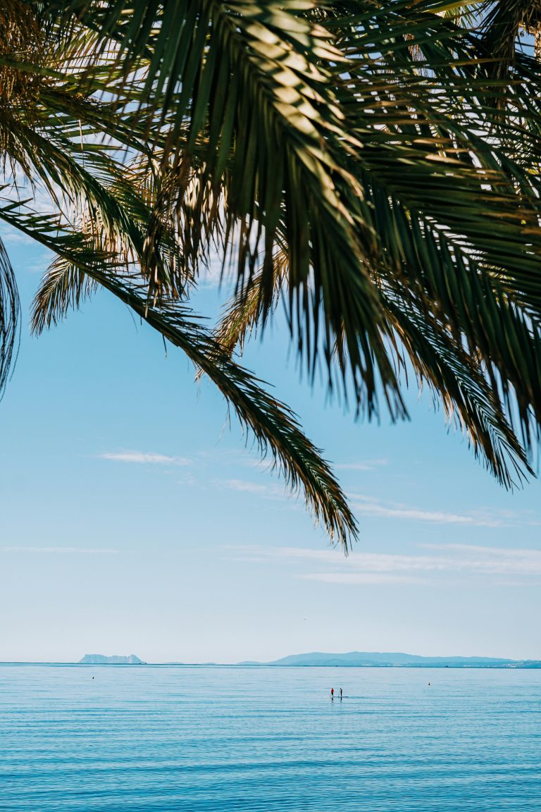 The Real Estate Market on the Costa del Sol: Between Home and Investment